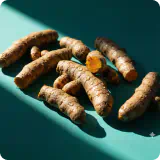 Turmeric Root