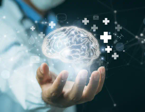 Brain