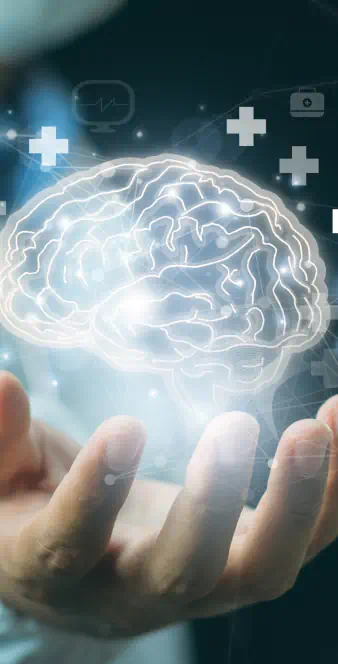 Brain