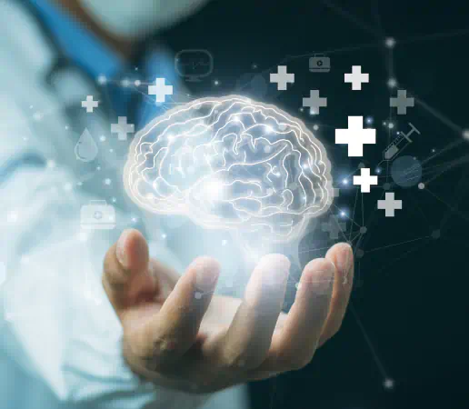 Brain