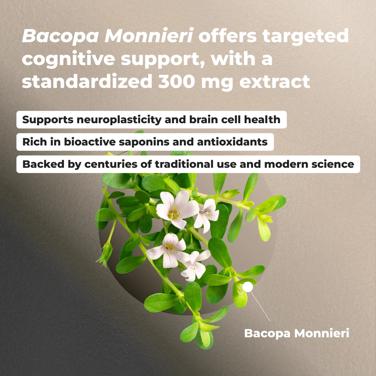 Bacopa Monnieri