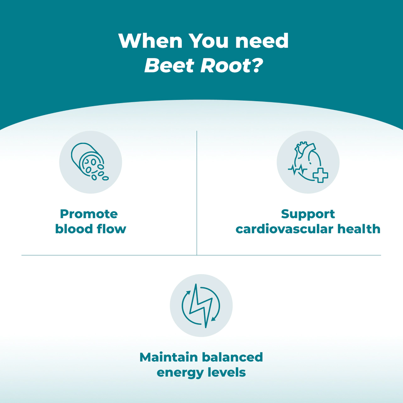Beet Root