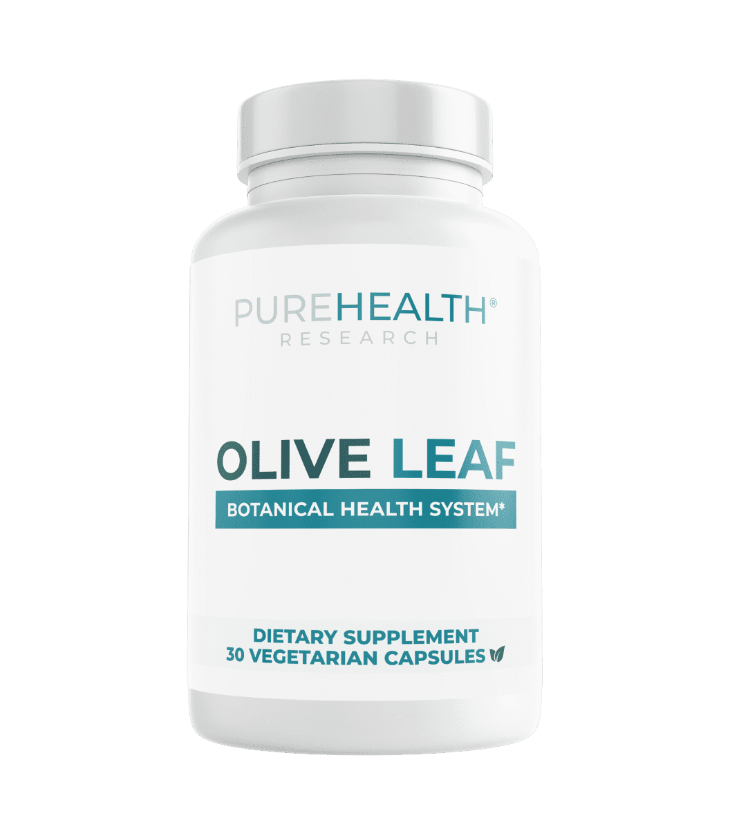 Olive Leaf