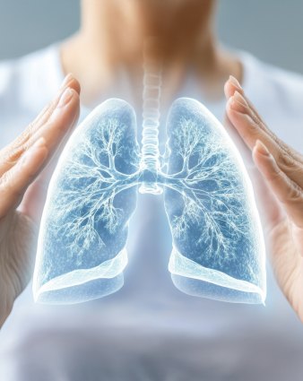 Lungs