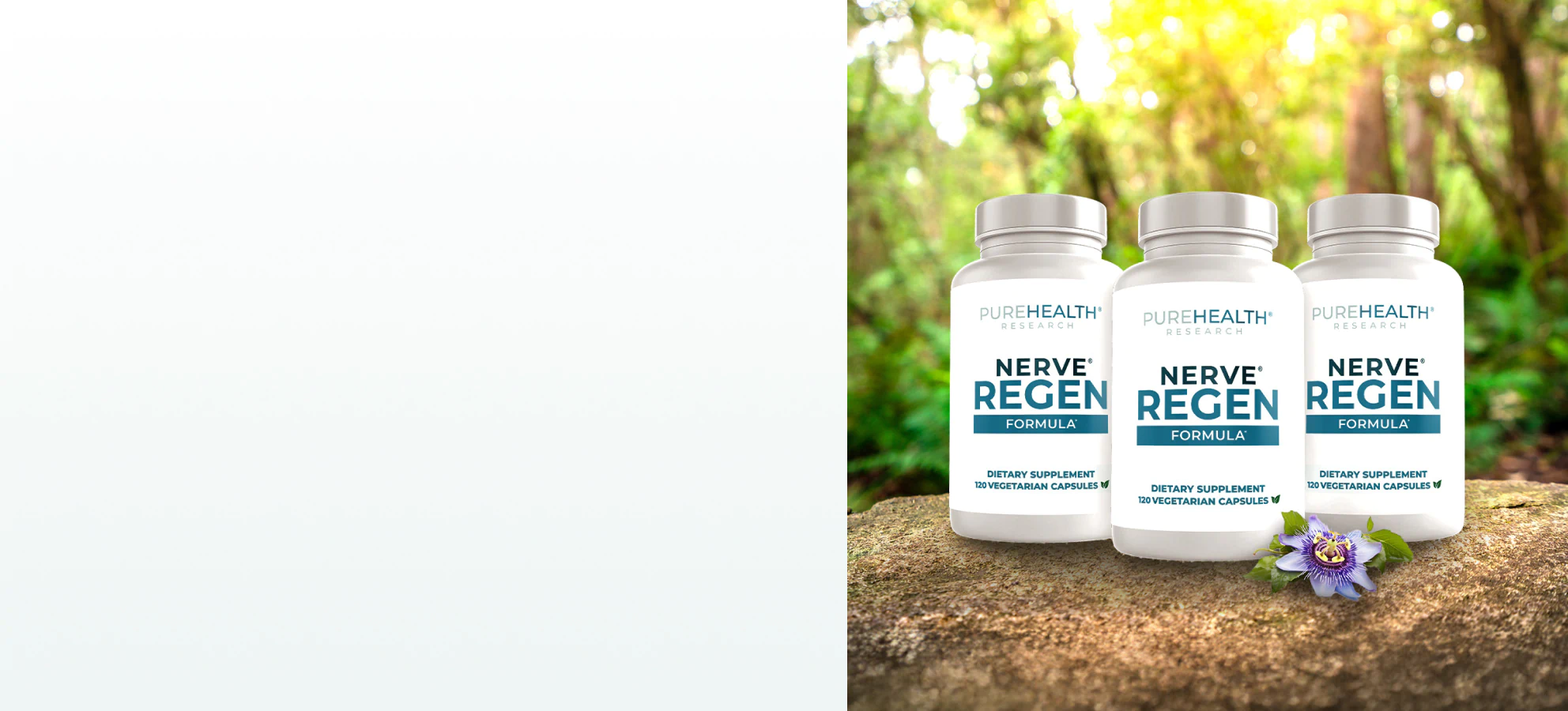 Supplements for nervous system support.