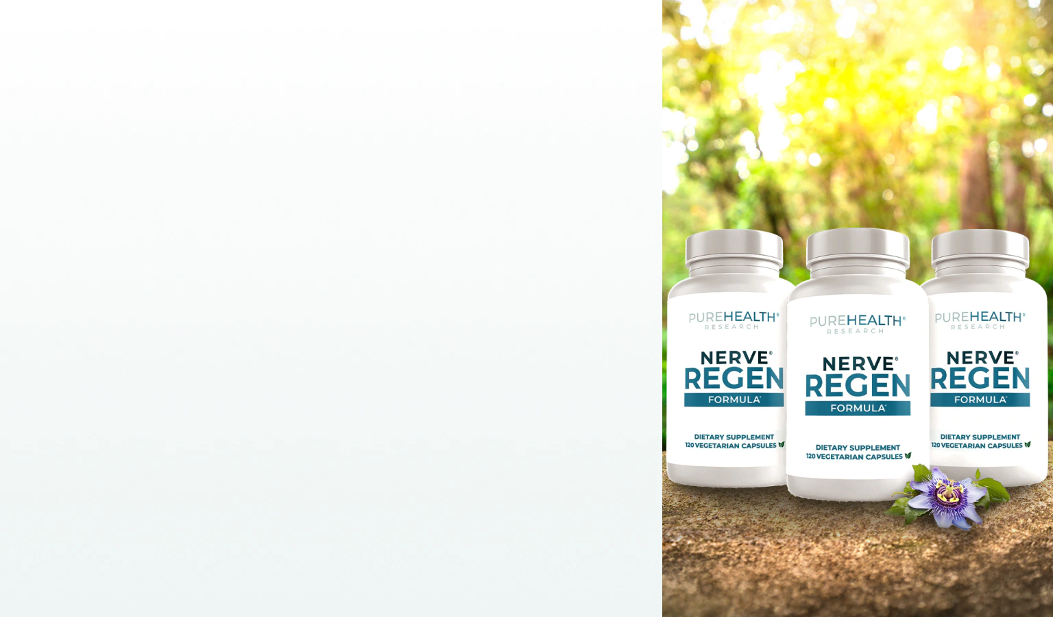 Supplements for nervous system support.