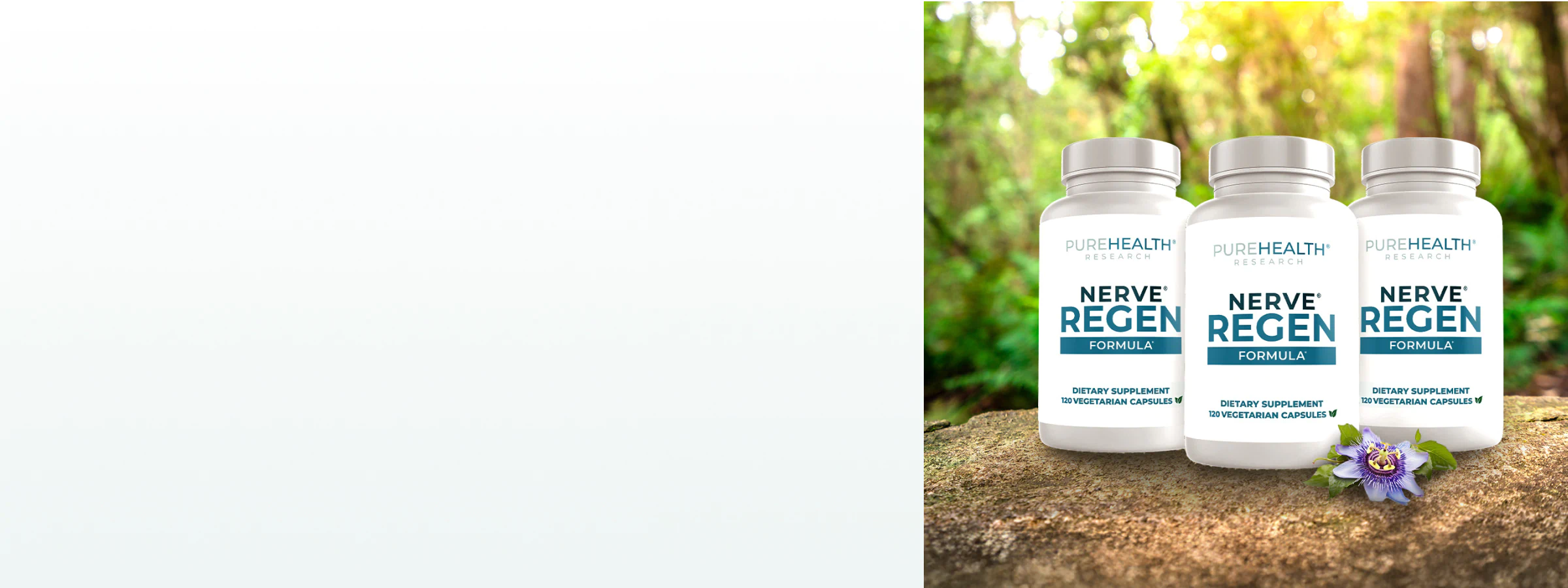Supplements for nervous system support.