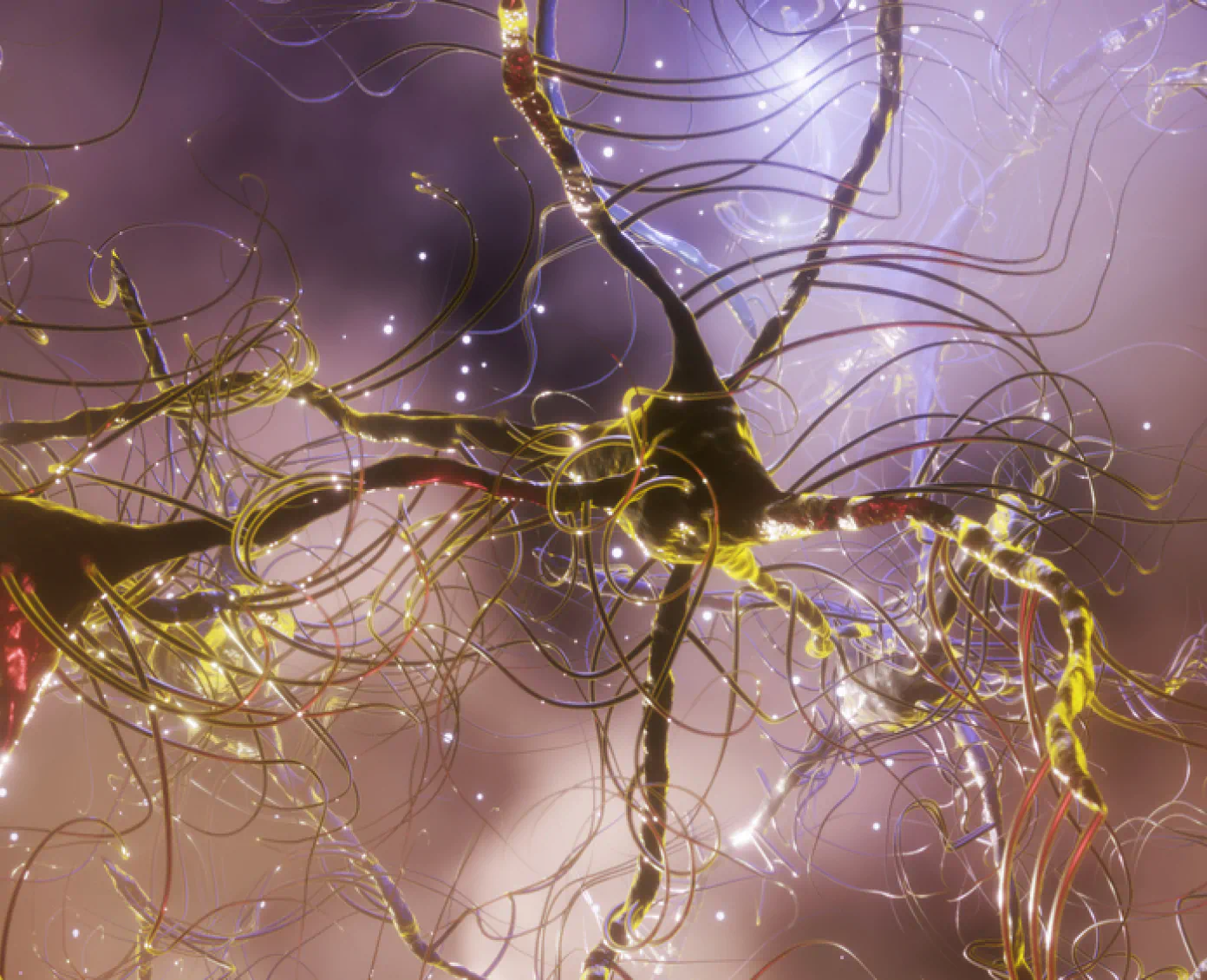 Nerve network