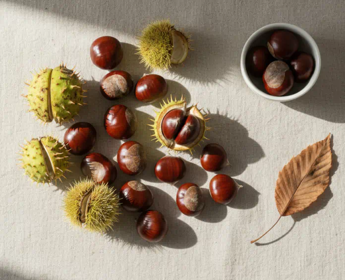 Chestnuts