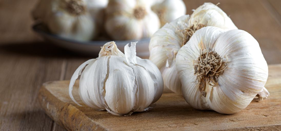 garlic-bulb