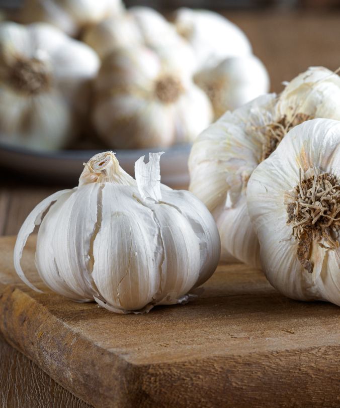 garlic-bulb