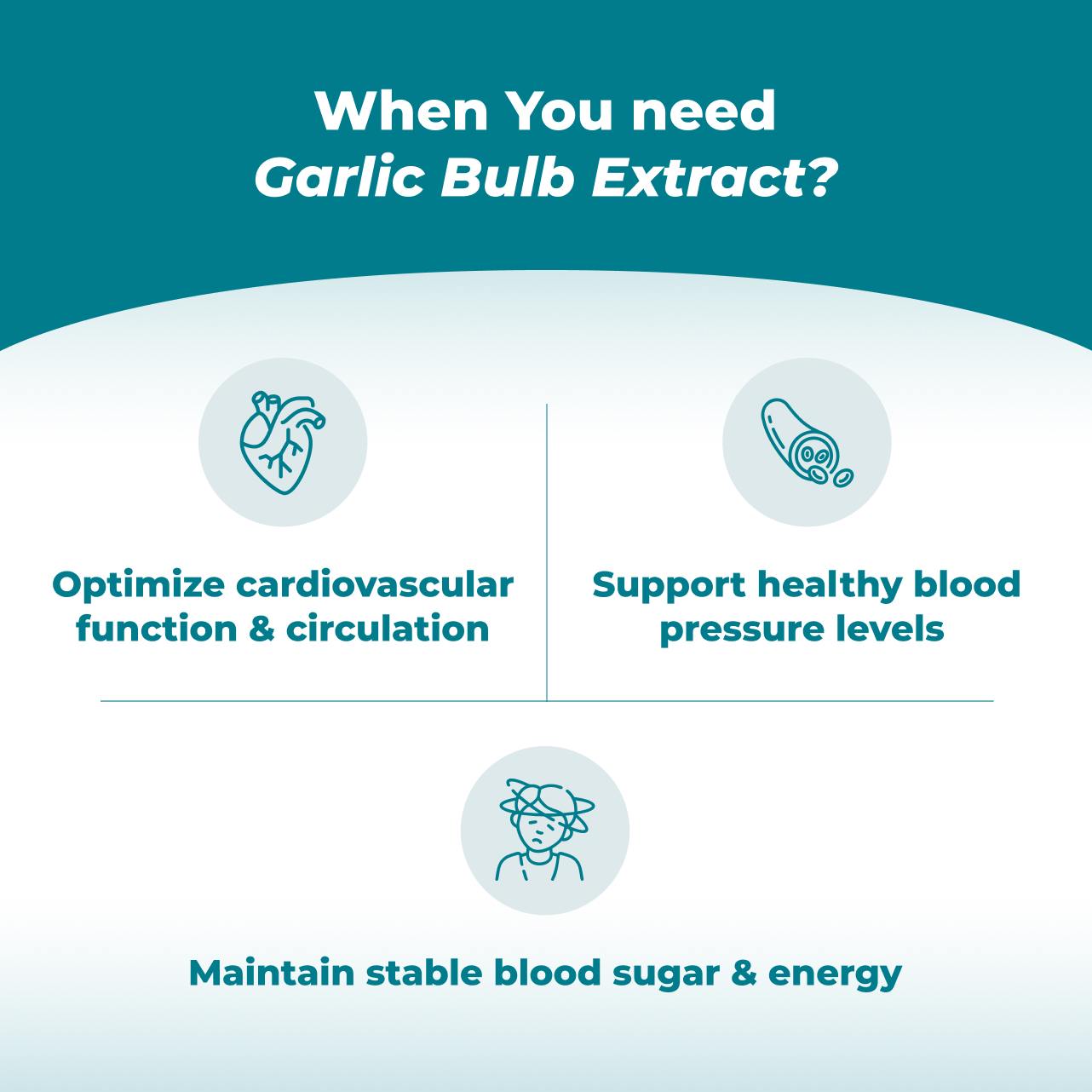 Garlic Bulb Extract