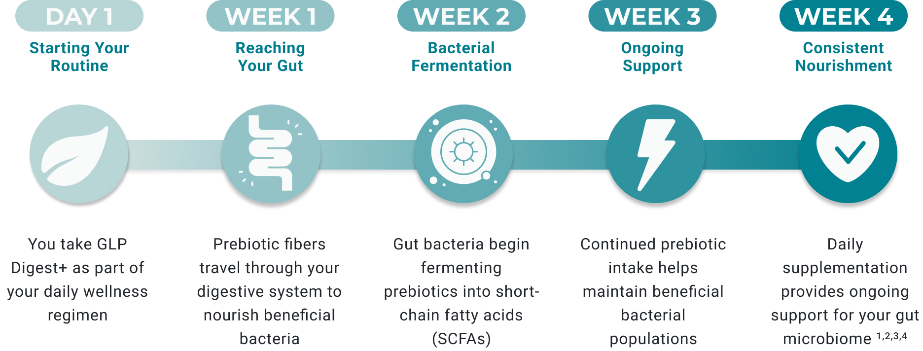 NOTICE THE DIFFERENCE IN YOUR DAILY ROUTINE