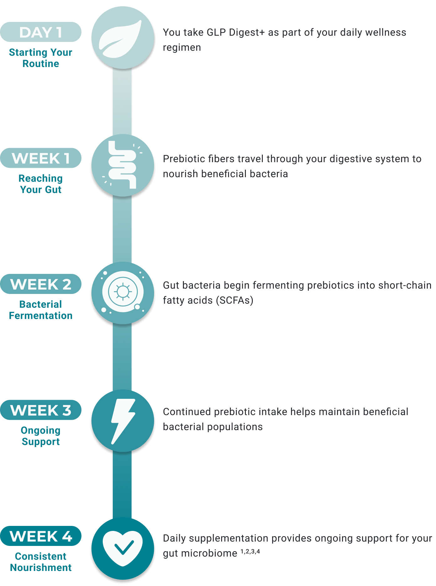 NOTICE THE DIFFERENCE IN YOUR DAILY ROUTINE