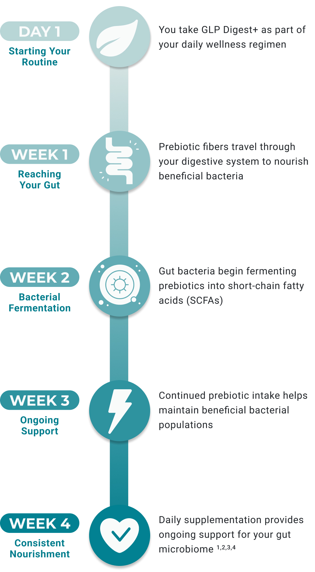 NOTICE THE DIFFERENCE IN YOUR DAILY ROUTINE