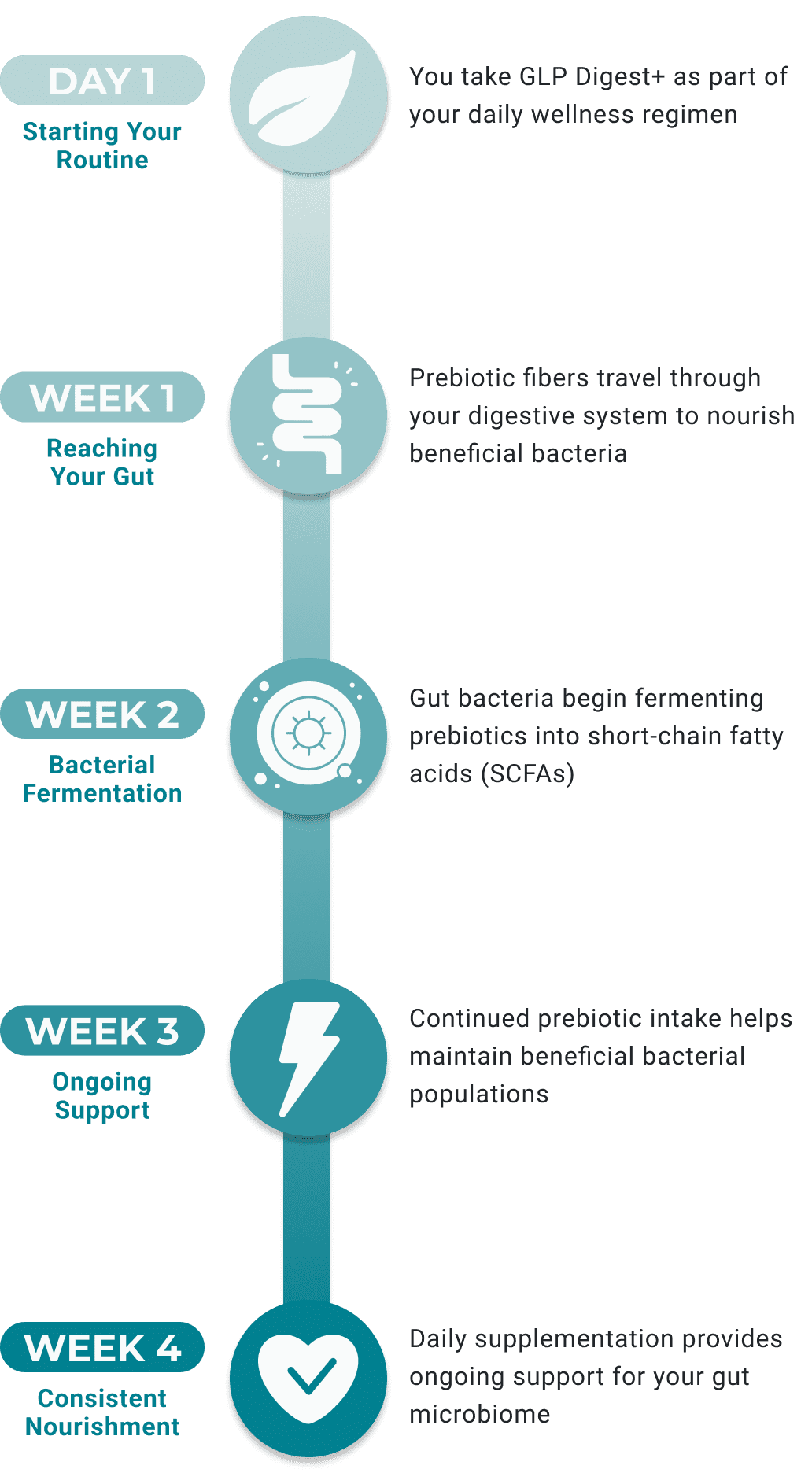 NOTICE THE DIFFERENCE IN YOUR DAILY ROUTINE