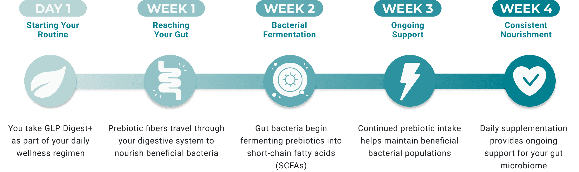 NOTICE THE DIFFERENCE IN YOUR DAILY ROUTINE