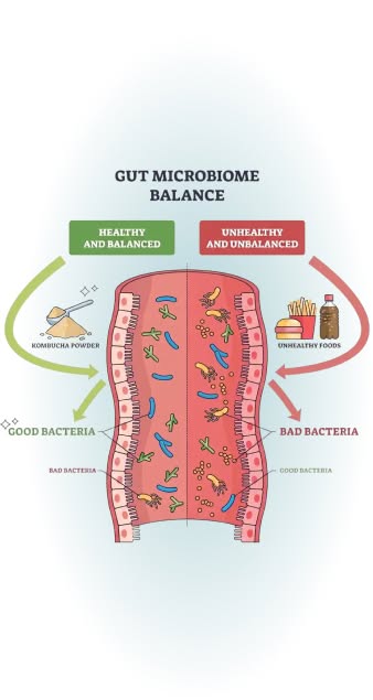 Gut Microbiome Balance