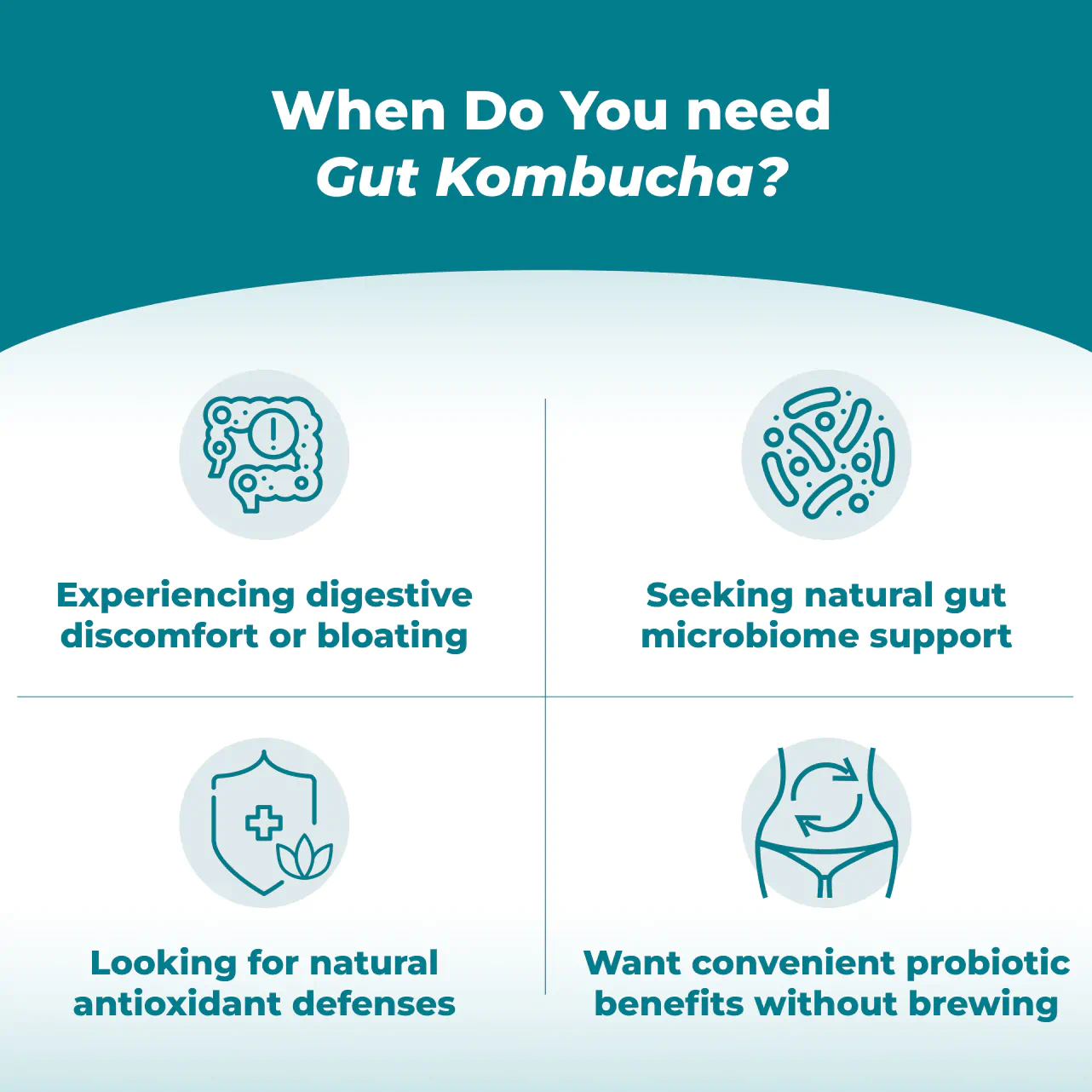 Gut Kombucha