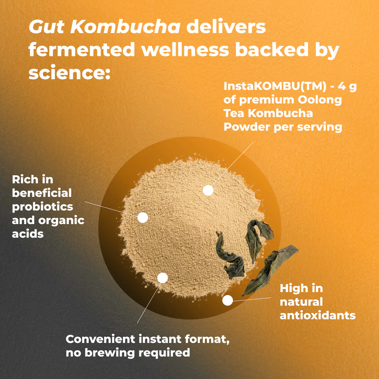 Gut Kombucha