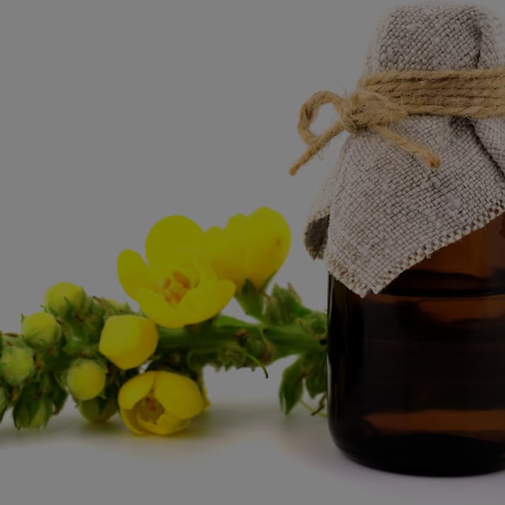 MULLEIN OIL