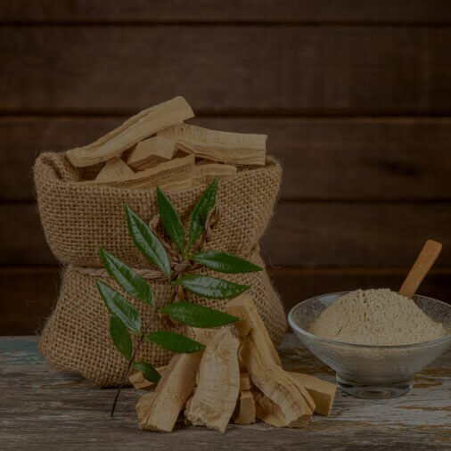 TONGKAT ALI EXTRACT