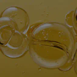 EPA