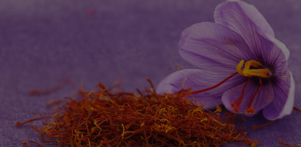 SAFFRON FLOWER EXTRACT
