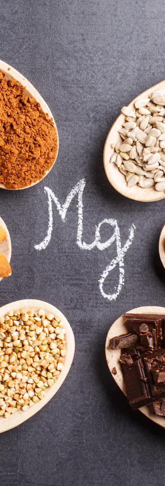 Sources of magnesium
