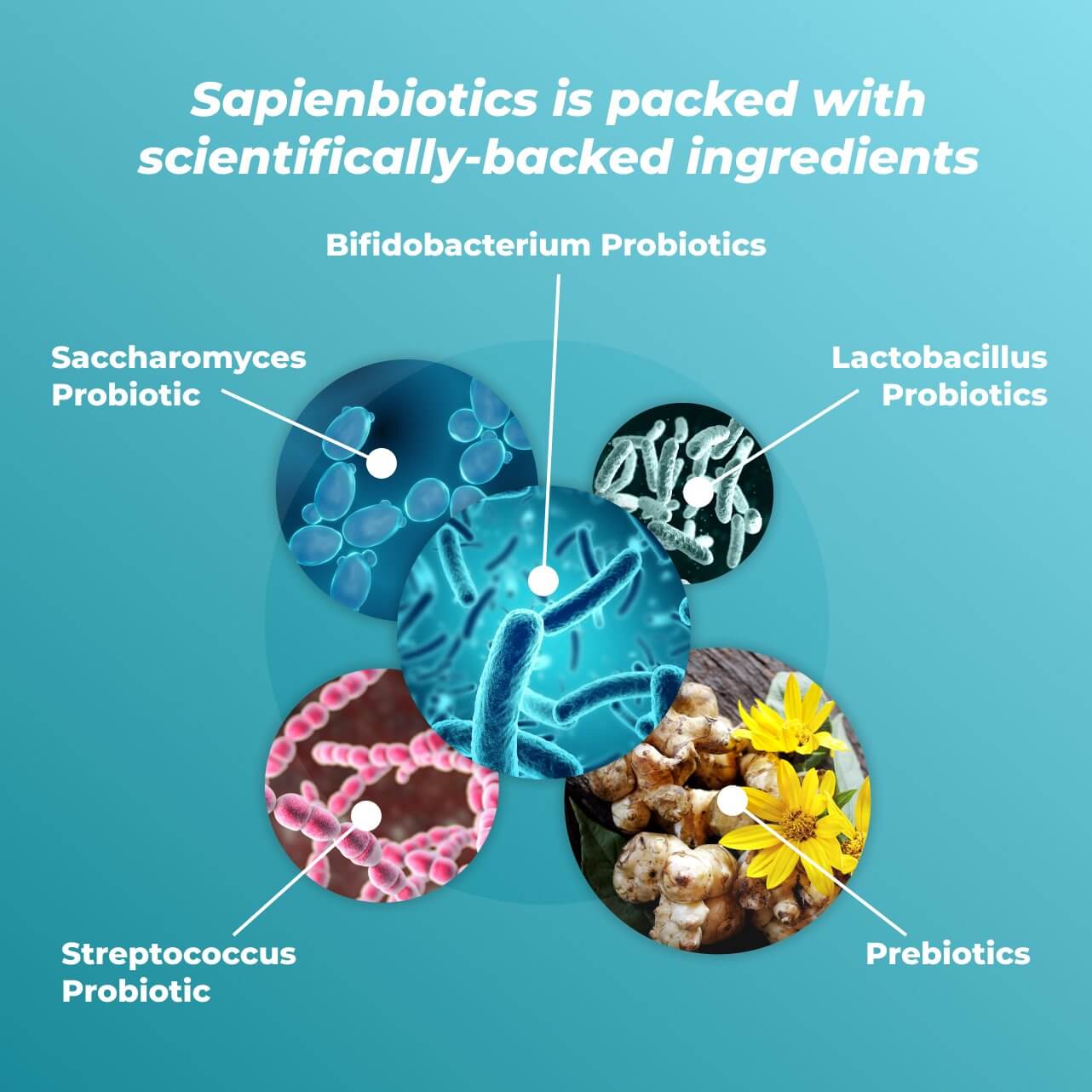 Sapienbiotics