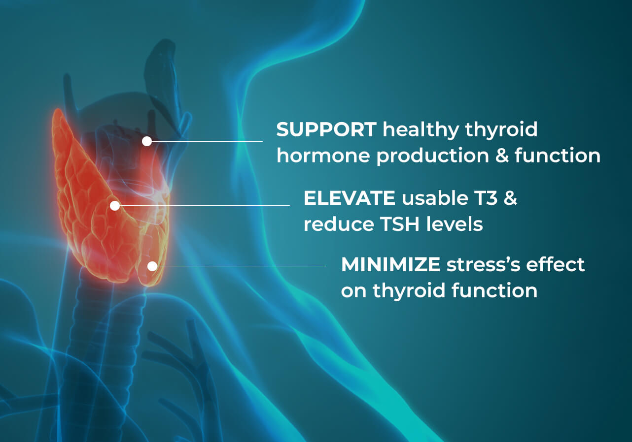 Thyroid Harmony Formula