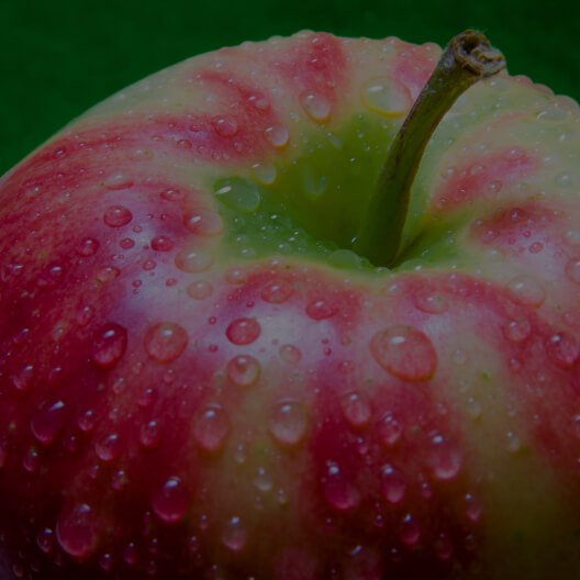 ImproBiome PureHealth Research