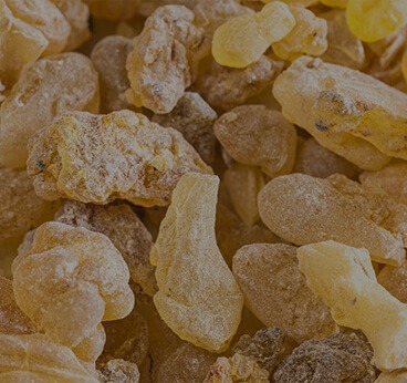 Boswellia Serrata