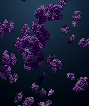 Enzyme Blend