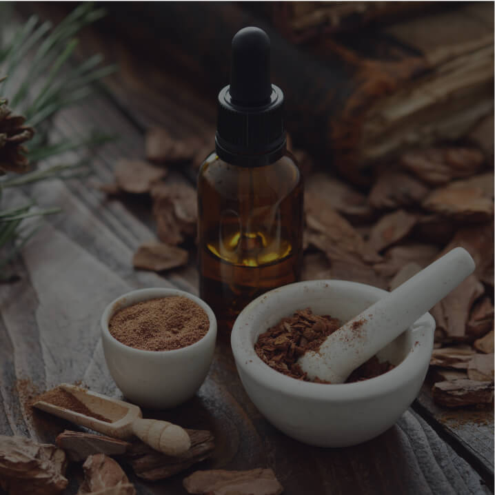 French Maritime Pine Bark Extract (FMPBE)