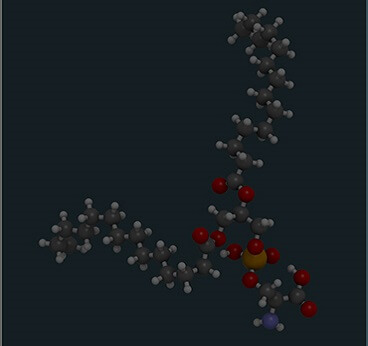 Phosph-Atidylserine