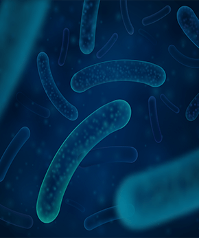 Probiotic Blend