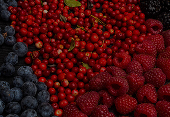 Resveratrol