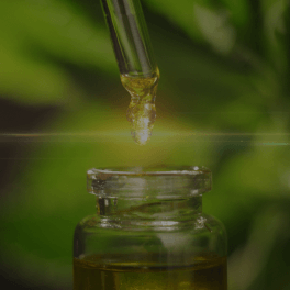 Salacia Root Extract